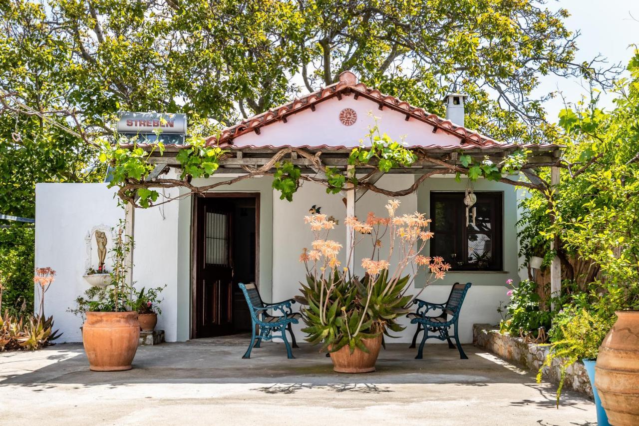 Yianna Cottage Studios Σκόπελος Εξωτερικό φωτογραφία
